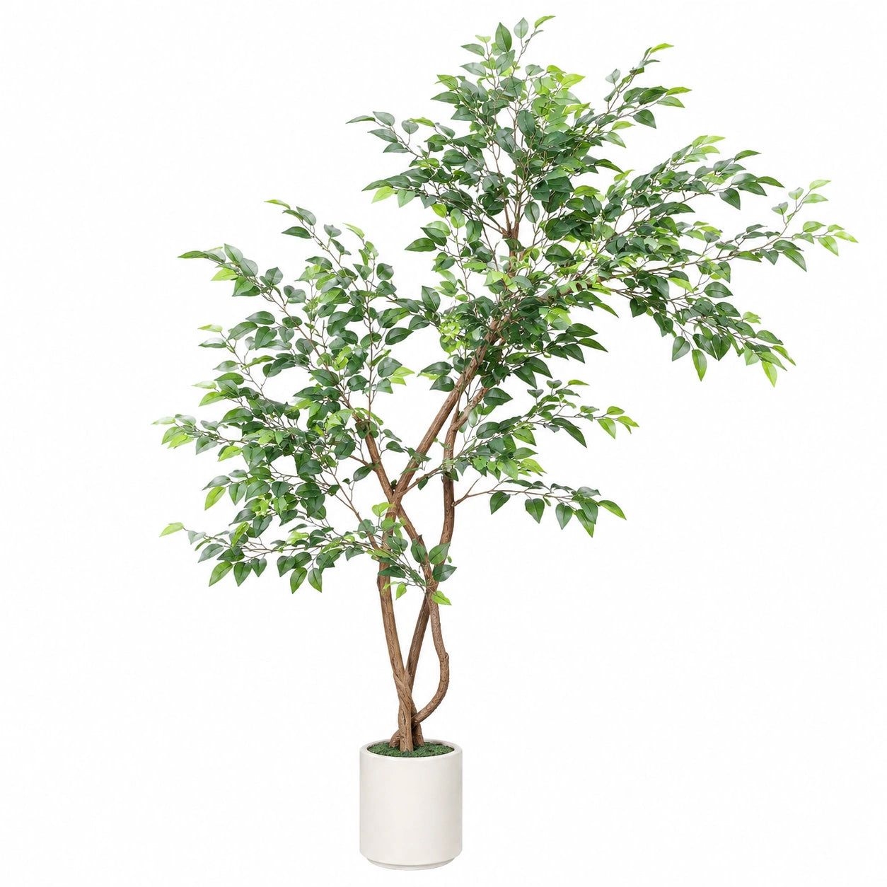 Arbre Ficus Artificiel 180 cm avec Pot