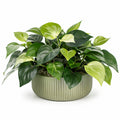Plante Verte Artificielle en Pot Céramique 40cm