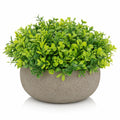 Plante artificielle verte en pot de ciment
