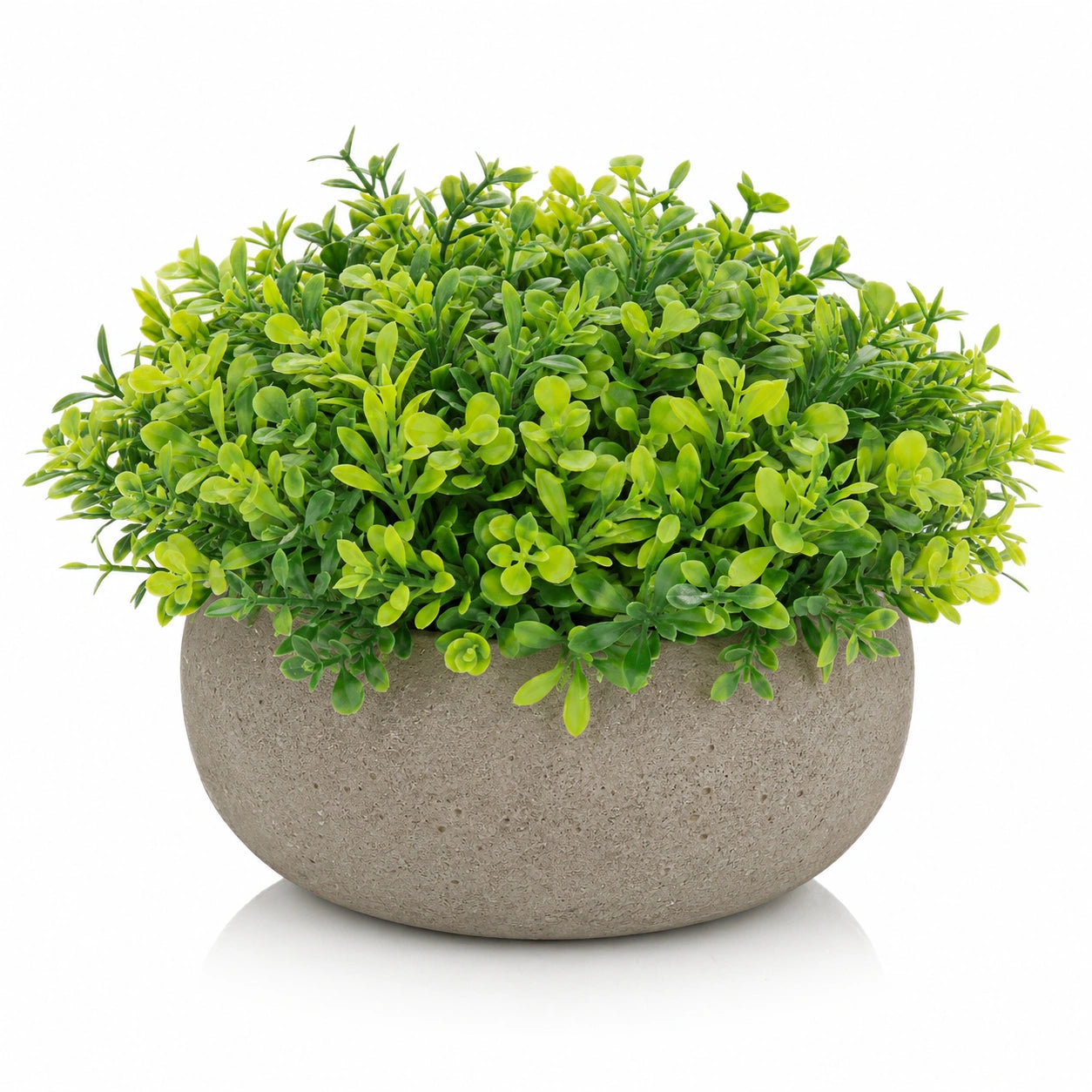 Plante artificielle verte en pot de ciment
