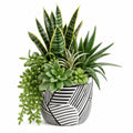 Arrangement de Plantes Artificielles Succulentes avec Pot Décoratif Noir et Blanc, 30 cm