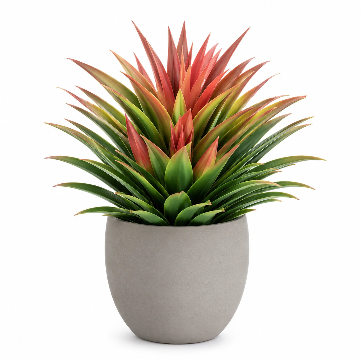 Plante Artificielle en Pot - Multicolore