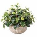 Plante Artificielle en Pot avec Feuillage Vert 40cm