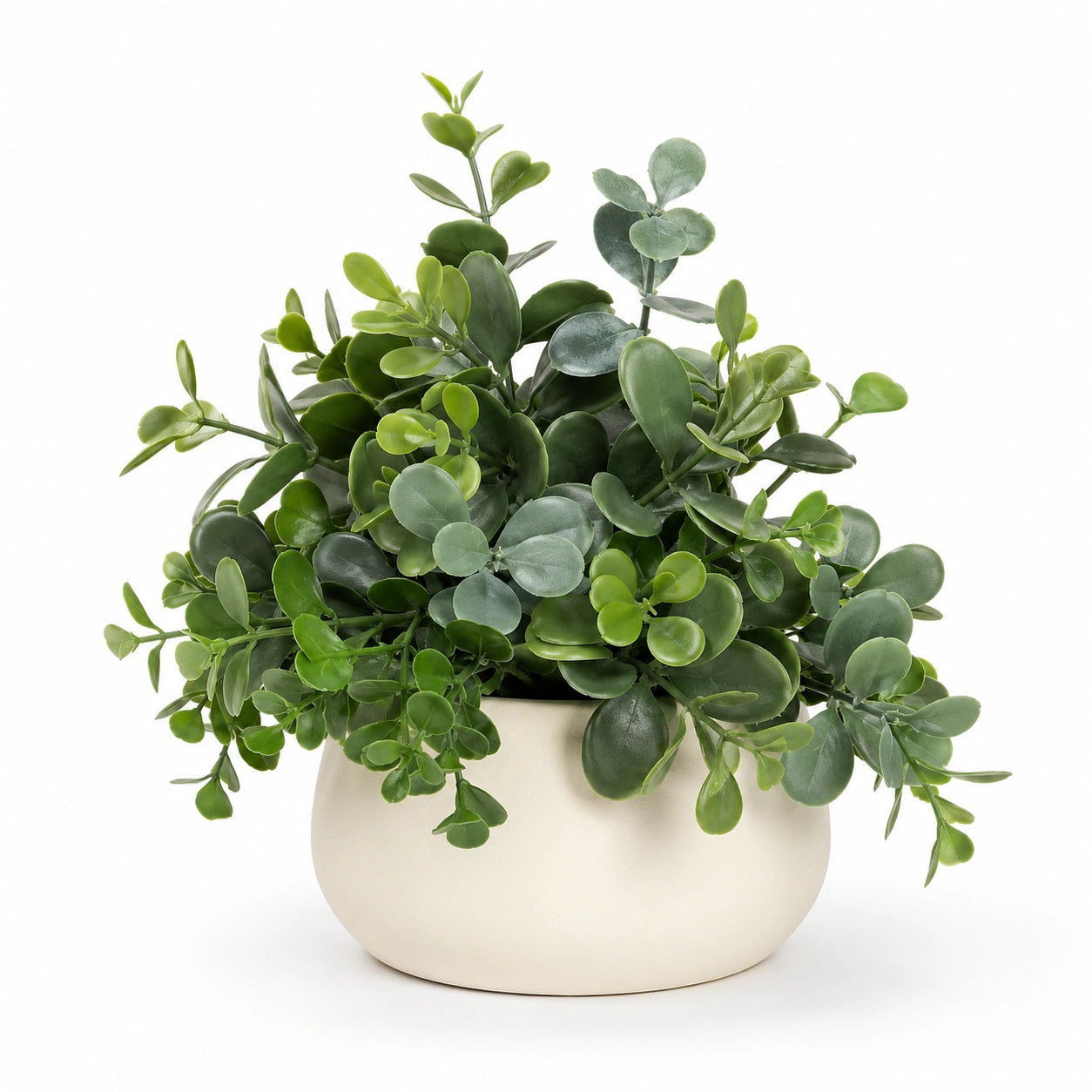 Plante Artificielle Décorative en Pot Vert de 20 cm